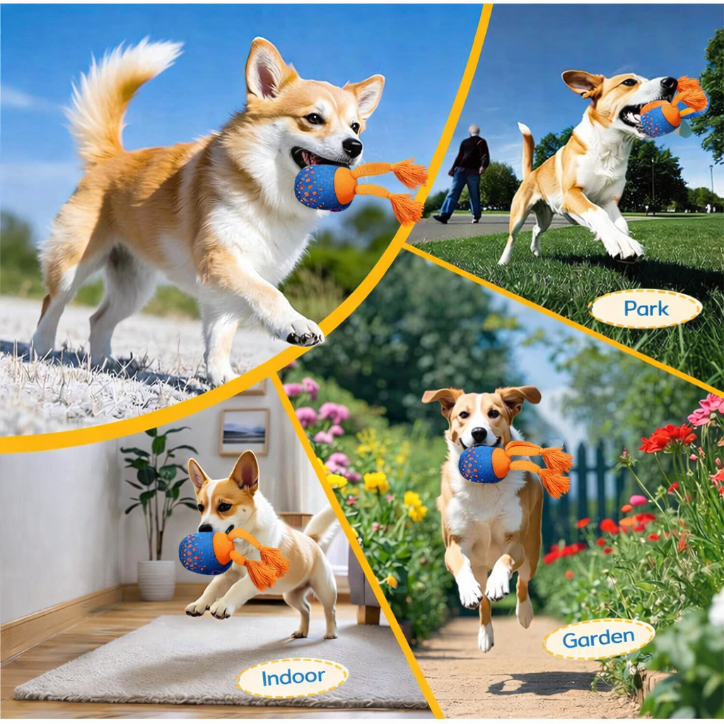 The DashBall™ – Keep Your Dog Calm, Engaged & Satisfied