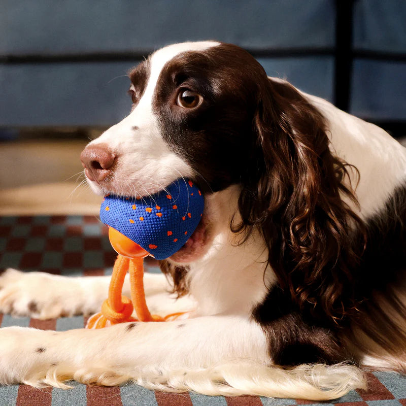 The DashBall™ – Keep Your Dog Calm, Engaged & Satisfied