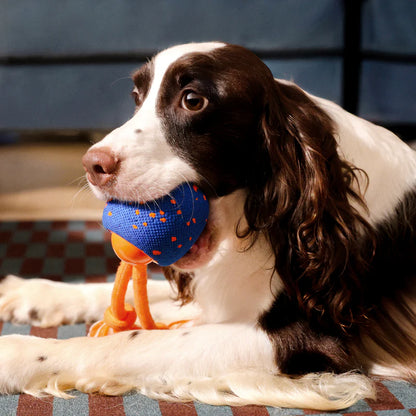 The DashBall™ – Keep Your Dog Calm, Engaged & Satisfied