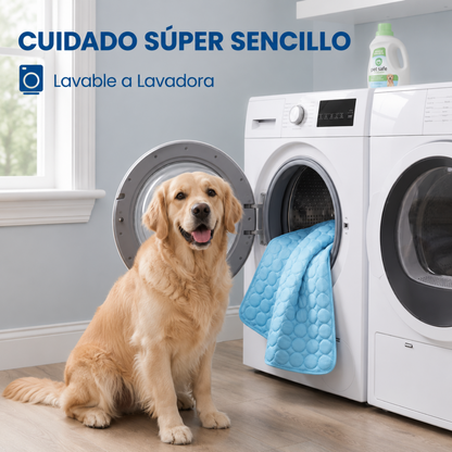Manta Dash™ Dile Adiós al Calor