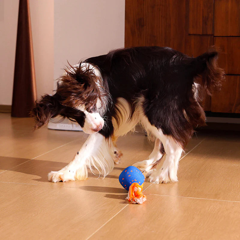 The DashBall™ – Keep Your Dog Calm, Engaged & Satisfied