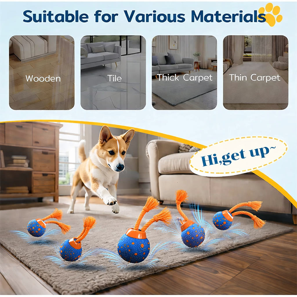 The DashBall™ – Keep Your Dog Calm, Engaged & Satisfied