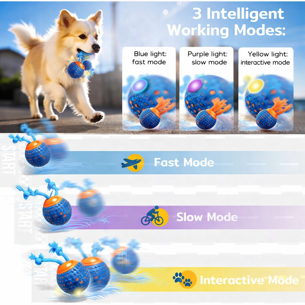 The DashBall™ – Keep Your Dog Calm, Engaged & Satisfied