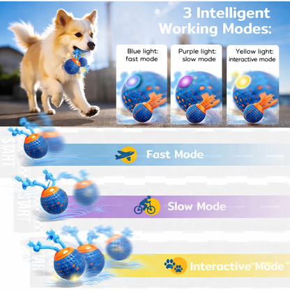 The DashBall™ – Keep Your Dog Calm, Engaged & Satisfied